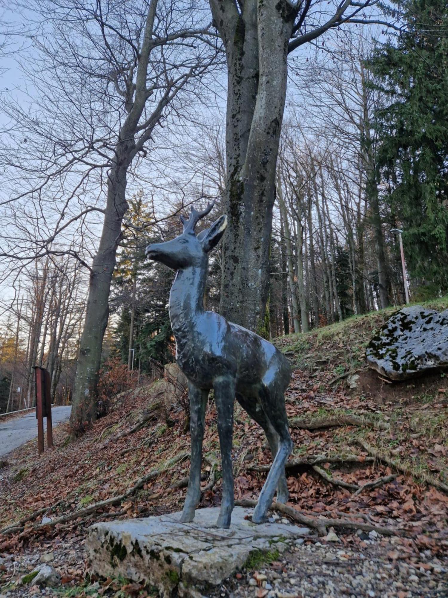 Vukman